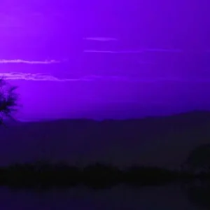 Hsin Hsin Ming Koop Vandaag