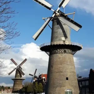 Koop Online Paarelketting