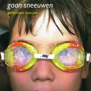 Koop Vandaag Het moest maar eens gaan sneeuwen