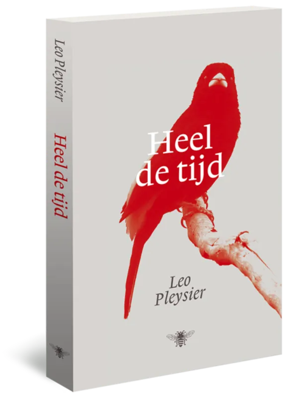 Alleen Vandaag Heel de tijd