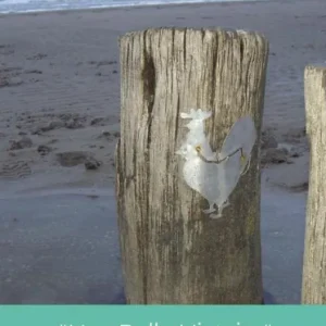 "Une Belle Histoire" Gratis Retour